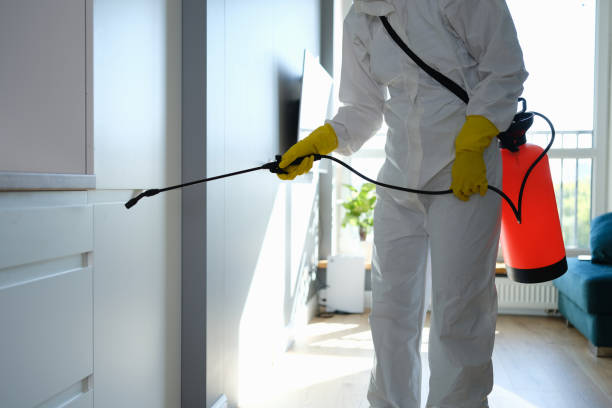 Best Residential Pest Control  in Bridge City, TX